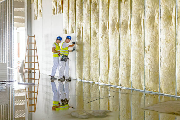 Best Geographic-Specific Insulation Services in Chattahoochee, FL